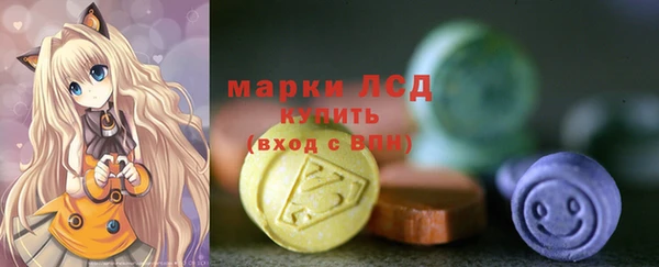 индика Армянск