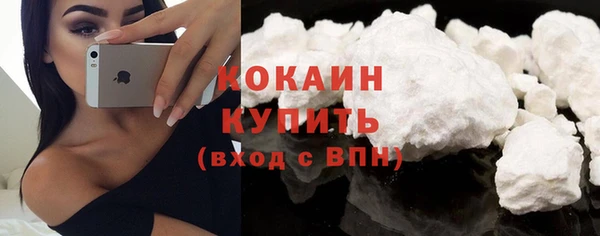 индика Армянск