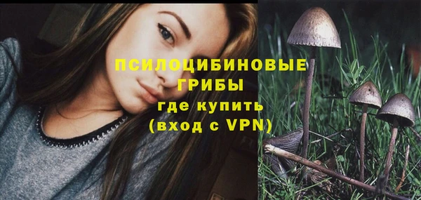 герыч Арсеньев