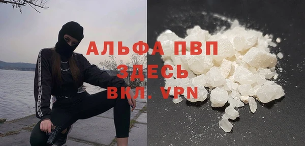 индика Армянск