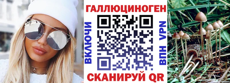 Псилоцибиновые грибы мицелий  Кологрив 